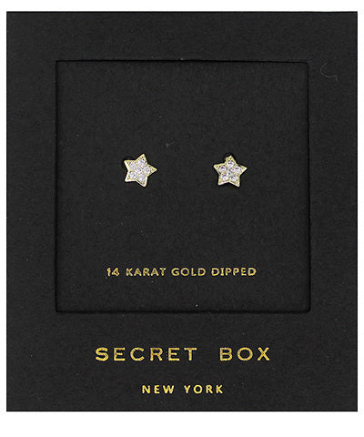 CZ Star Studs- Gold/Clear