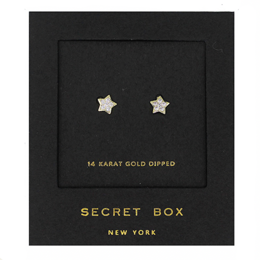 CZ Star Studs- Gold/Clear