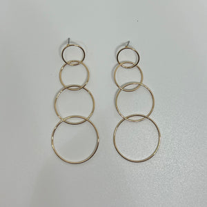 Circle Link Linear Earring